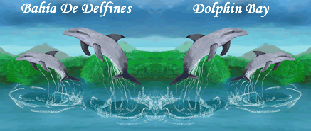>Dolphin Bay - Bahia de Delfines